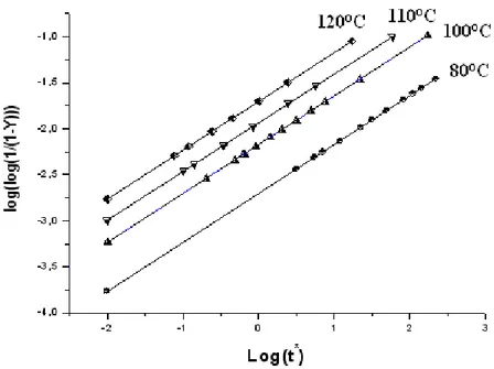 Figure III-10 :  Double logarithme du Rapport d’isomérisation (Y) du (S-PA) en fonction de  Log (t * ) pour les températures T= 80, 100, 110, 120°C