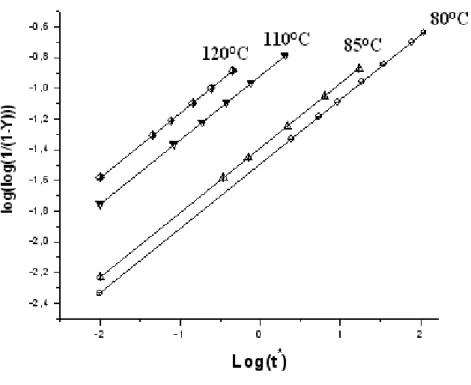Figure III-12 :  Double logarithme du Rapport d’isomérisation (Y) du (sh-2) en fonction de  Log (t * ) pour les températures T= 80, 82, 110, 120°C