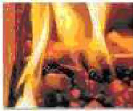 Fig. 2.9 – Brˆuler du bois pour produire de la chaleur
