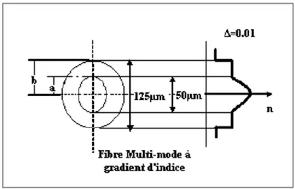 Figure I. 11 : Trajectoires sinusoïdales des faisceaux dans une fibre  à gradient d’indice 