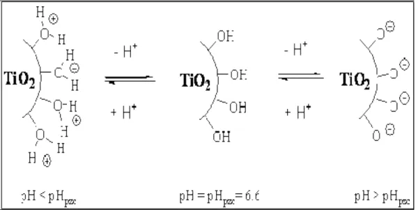 Figure 3.13 : Modification de la charge de surface du TiO 2,  en fonction du pH. 