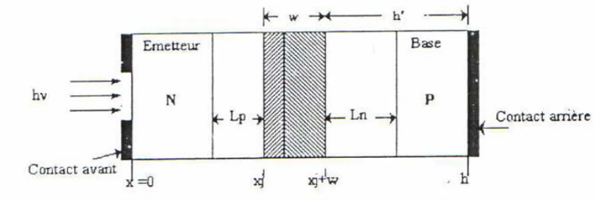 Figure II-3   Structure d’une cellule solaire (N/P) [20] 