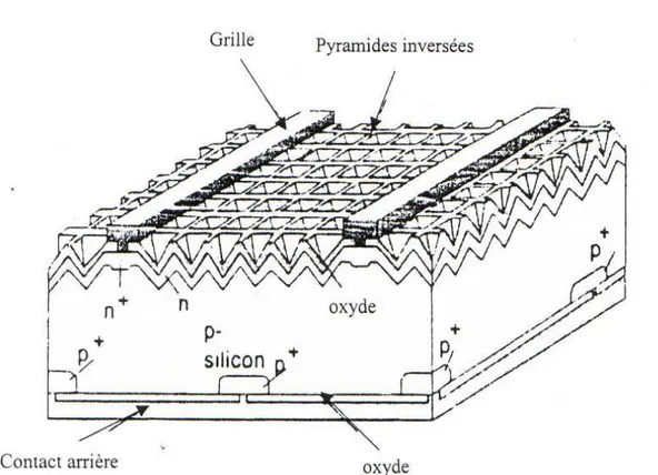 Figure II-10  Structure photovoltaïque PERL. 