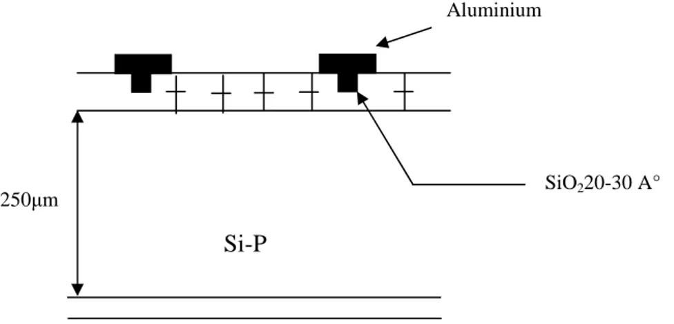 Figure II-12  Tandem solaire à deux jonctions [29]. 