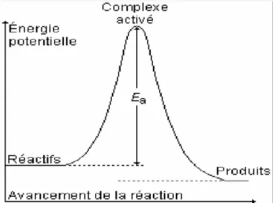Figure III-2 : Energie d’activation d’une réaction à une seule étape. 