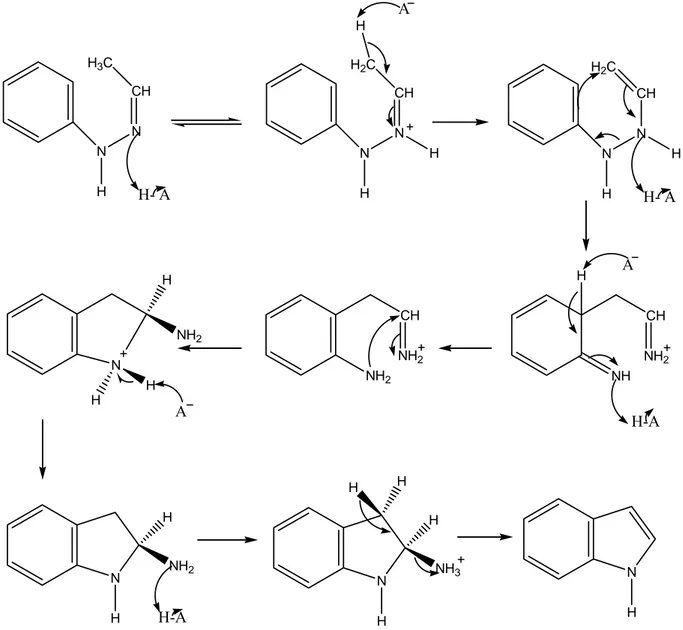 Figure III-1. Mécanisme de Robinson pour la réaction de Fischer  [38]
