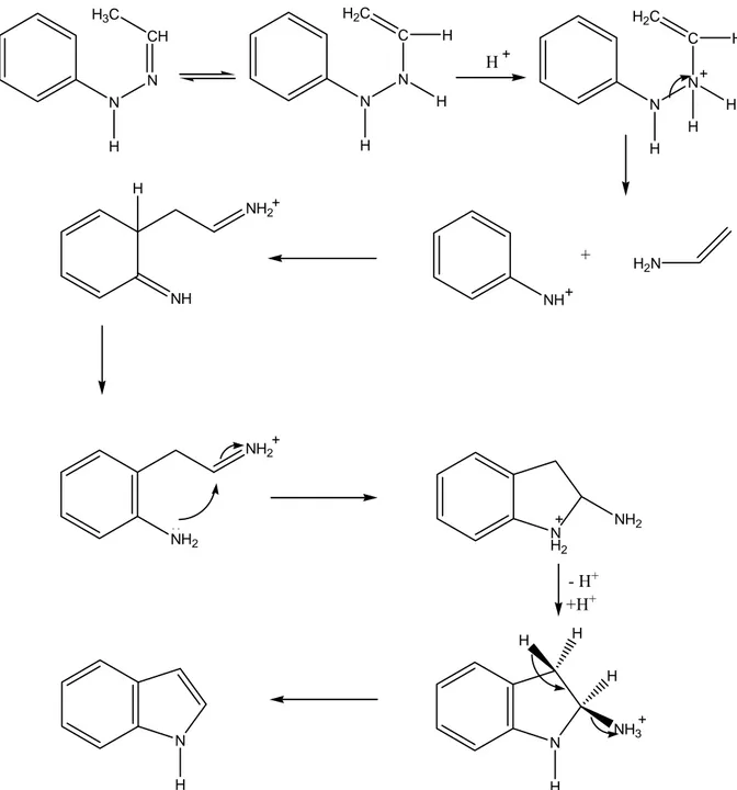Figure III-2.  Mécanisme de Kereselidze pour la réaction de Fischer  [39]