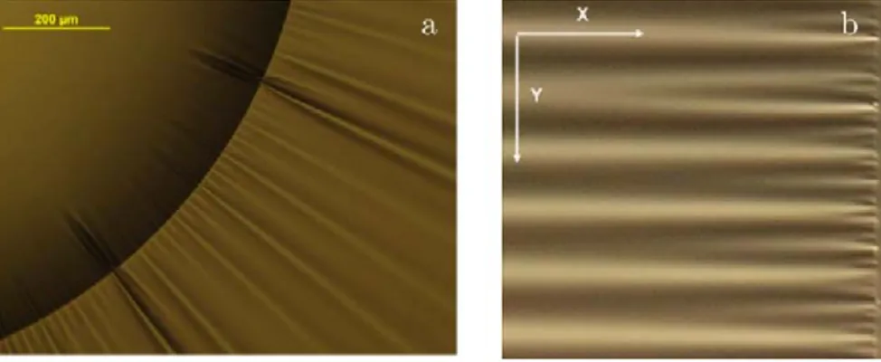 Figure 1.6 – Variation de la longueur d’onde pr` es de la ligne de contact, a) rides g´en´er´es par la d´eposition d’une goutte sur une membrane flexible flottant dans l’eau (clich´e N.Menon), b) plissement d’une membrane flottante ` a la suite d’une compression m´ecanique lat´erale [ 30 ].