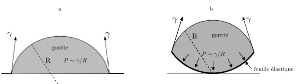 Figure 2.2 – Sch´ ema d’une goutte d’eau d´epos´ee sur a) un substrat solide, b) un substrat flexible.