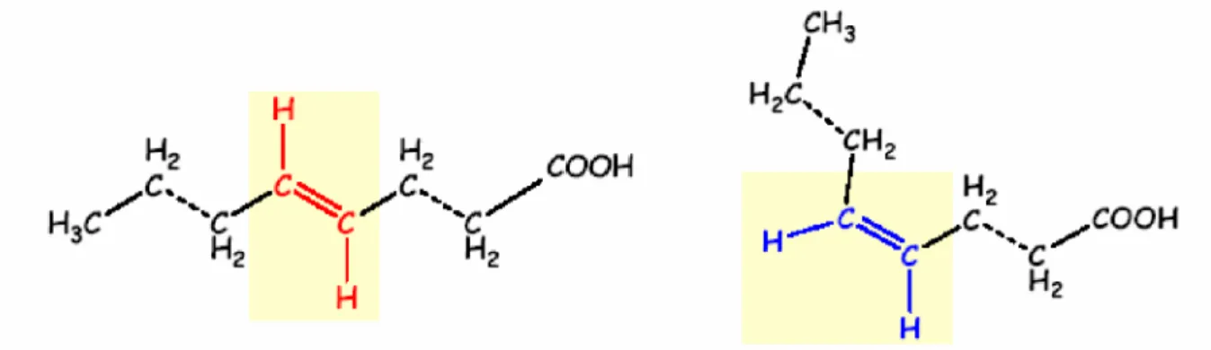 Figure 3 : Isoméries Géométriques Trans (à gauche) et cis (à droite)