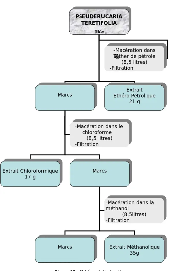 Figure 07 : Schéma de l'extraction