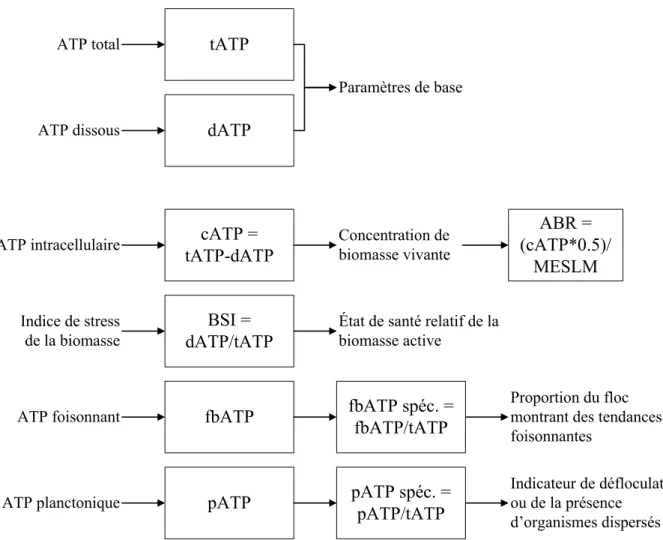 Figure 3.2: Détail des paramètres dérivés des mesures de l’ATP mesuré à l’usine 