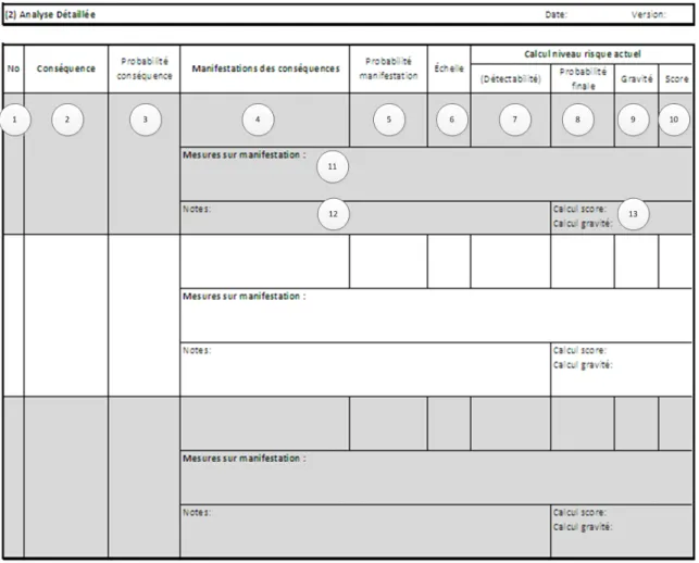 Figure  4-7 : Gabarit utilisé pour l’analyse détaillée lors d’une priorisation par échelle lors du  module 3 