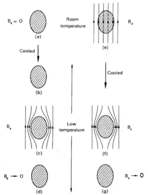 Figure 2.6 The magnetic field inside a superconductor is always zero. Therefore the magnetic flux distribution inside the material does not depend on the sequence of application of the magnetic field