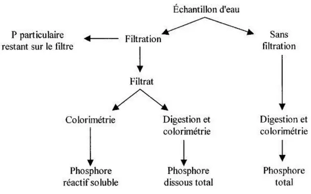 Figure 2.2 : Formes de phosphore analytiques dans l’environnement aquatique   (Chambers et al, 2001) 