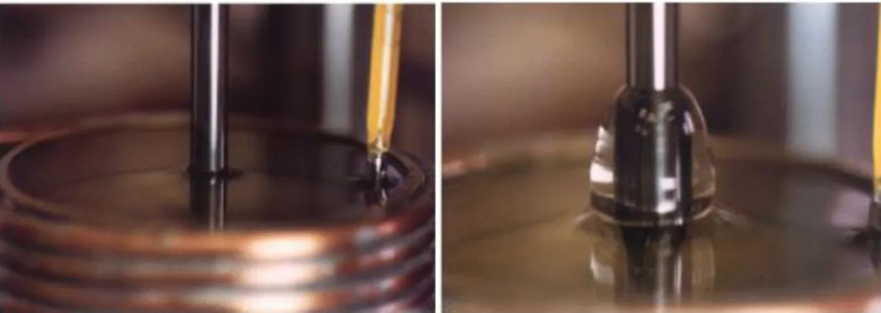 Figure II-4 Montée d'un fluide viscoélastique le long d'une tige en rotation   (Effet "Weissenberg") 