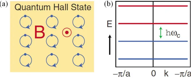 Figure 3.1. Quantum Hall state. (a) Circular cyclotron orbits of electrons confined to two dimensions 