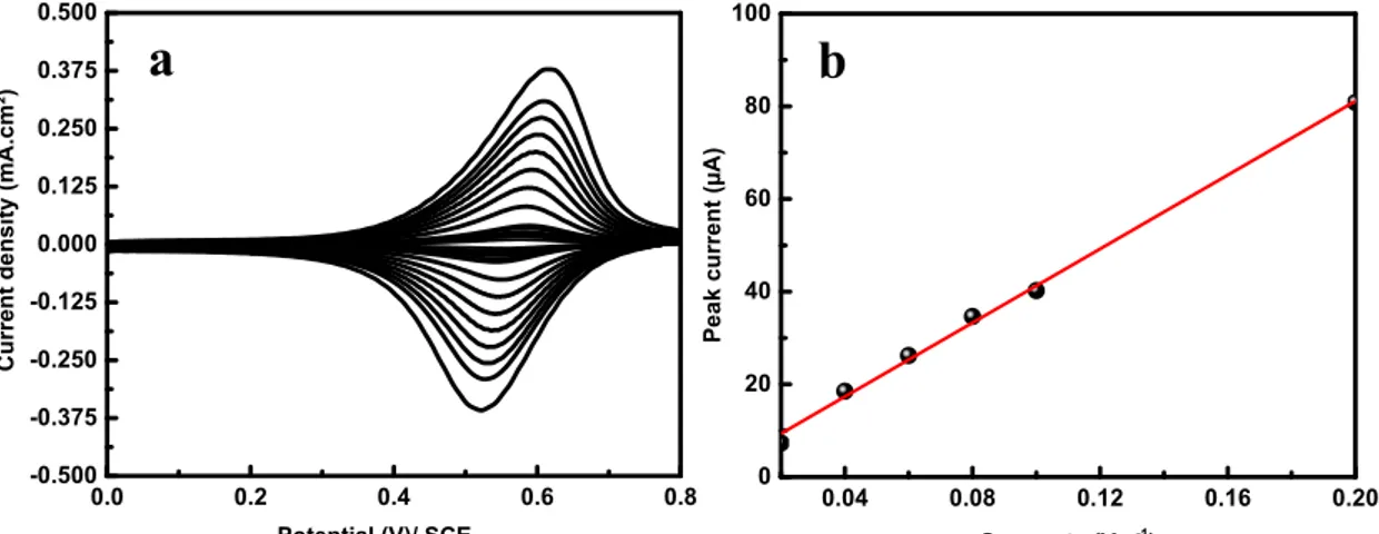 Figure 2.S1 (a) Cyclic voltammograms of immobilized ferrocene-based ionic liquid in MeCN solution containing 