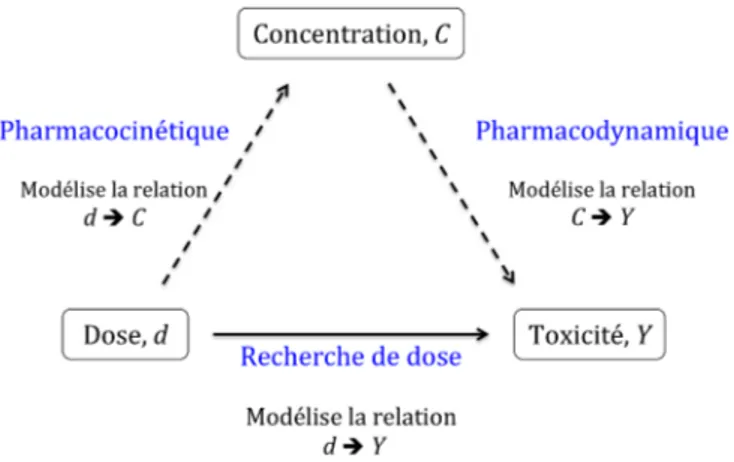 Figure 1.2 – Schéma représentatif des relations entre les méthodes de recherche de dose, la pharmacocinétique et la pharmacodynamique.