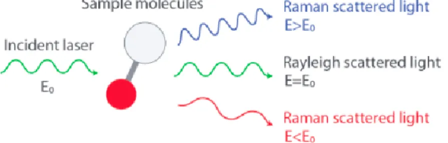 Figure 2.11 Scattering of Light by Molecules – modified from  https://www.nanophoton.net/raman/raman-spectroscopy.html 