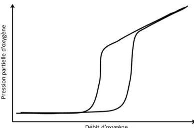 Figure 3-1: Schéma de la pression partielle d’oxygène en fonction du débit d'oxygène 