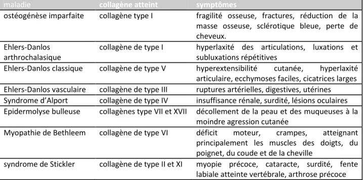 Tableau 1-1: Quelques exemples de pathologies liées à l’anomalie d’un collagène 