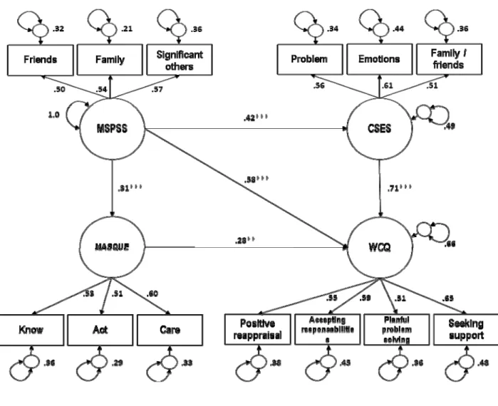Figure 2.  Latent structural regression (SR) model evaluated at (N = 221) 