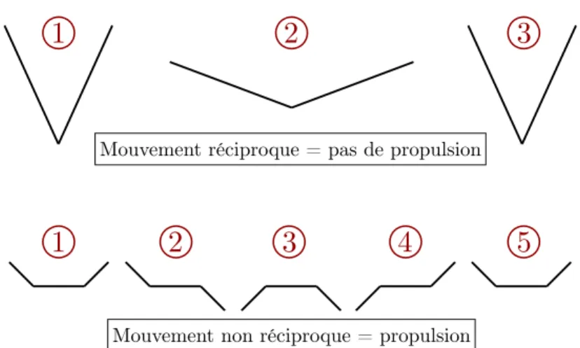 Figure 1.2: Illustration du Scallop Theorem de E. Purcell. A faible nombre de Reynolds, un mouvement r´eciproque ne peut conduire ` a une propulsion nette sur un cycle, alors qu’un cycle non-r´eciproque le permet.