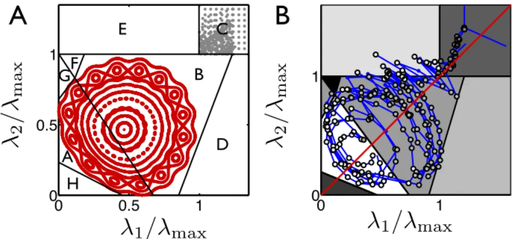 Figure 1.15: A. Exemple de trajectoires asymptotiques dans la limite ´etudi´ee. Pour ce jeu de param`etres de contrˆ ole la dynamique est quasi-p´eriodique