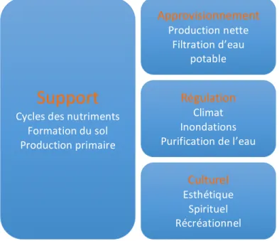 Figure 1-4 : Classification des services écosystémiques   selon le Millennium Ecosystem Assessment (2005) 