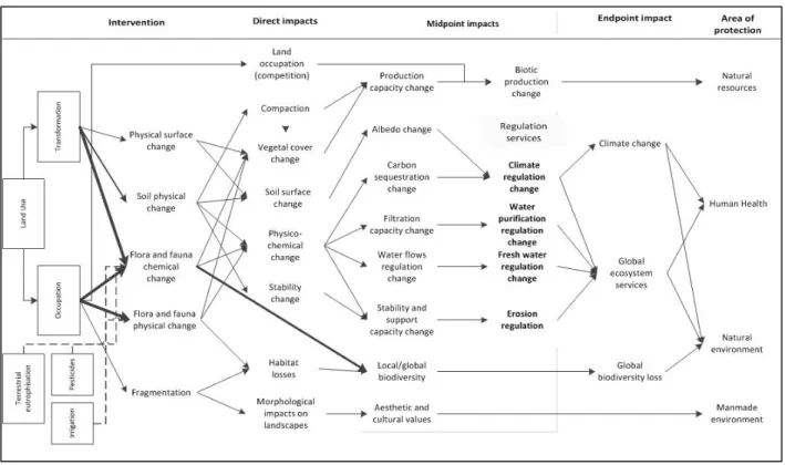 Figure 1-7: Chaine de cause à effet de la catégorie d'impact "utilisation des terres"   (adapté de Koellner et al., 2013b) 