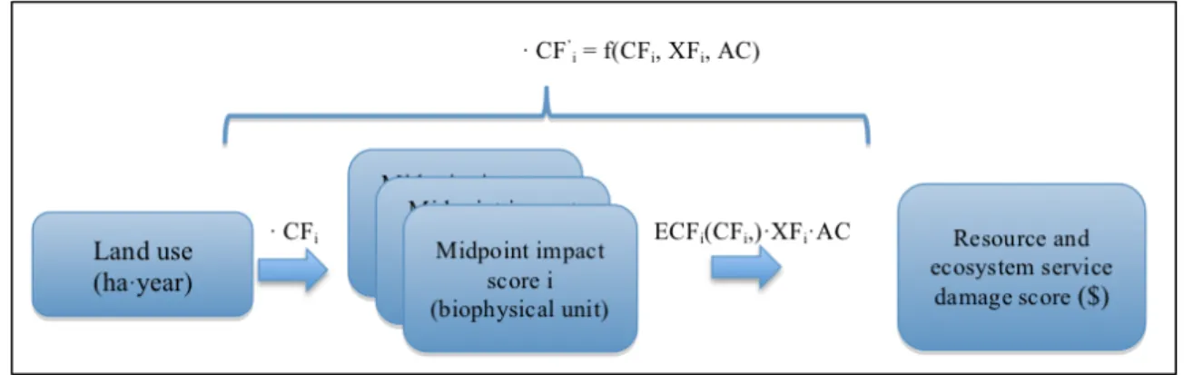 Figure 4-1 : General framework linking land use inventory flows (by use type and location) to  midpoint impact scores (soil ecological functions expressed in biophysical units) and ultimately  to an aggregated resource and ecosystem service endpoint score 
