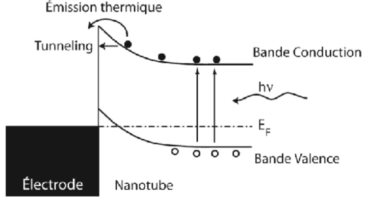 Figure 2-8 : Mécanisme proposé pour expliquer les maxima de photocourant localisés à la  jonction électrode-nanotube d’un film de nanotubes