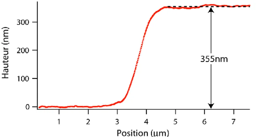 Figure 4-4 : Profil de la marche à la frontière d’un film de nanotubes mesuré par microscopie à  force atomique