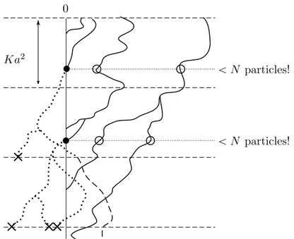 Figure 2.5: The B 7 -BBM with parameter N “ 3 (no breakout is shown). White, blue and