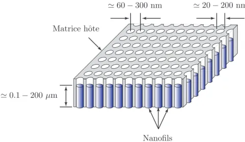 Figure 1.1 Repr´esentation sch´ematique d’un r´eseau de nanofils ferromagn´etiques constitu´es de fils cylindriques m´etalliques verticaux dans une matrice hˆote di´electrique.