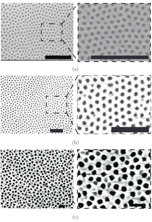 Figure 2.7 Vue de dessus par microscopie ´electronique `a balayage des membranes nanopo- nanopo-reuses d’alumine