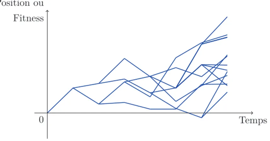 Figure 2 – Le graphe d’une marche aléatoire branchante