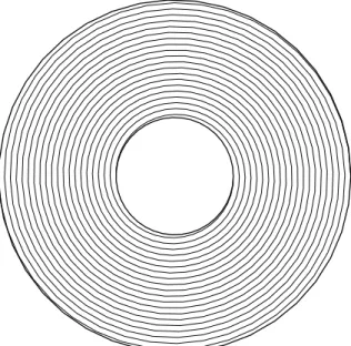 Figure 4.1: The vinyl record foliation.