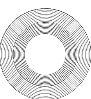 Figure 4.4: A broken record foliation. Circu- Circu-lar leaves with trivial holonomy accumulate on a circular leaf with non-trivial holonomy.