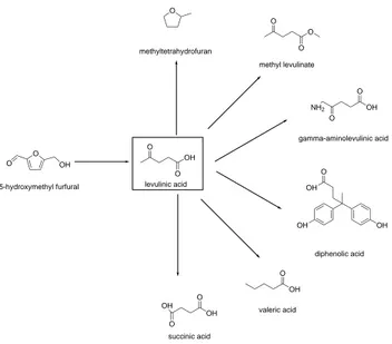 Figure 3.7 Hydrolysis of HMF leads to LEV, a potential bio-intermediate for a variety of bio-chemicals and bio-fuels.