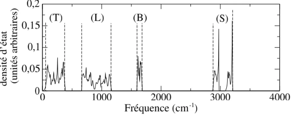 Fig. 2.7 – Densité d’états vibrationnels de la glace calculé, et contribution des différents types