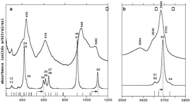 Fig. 2.9 – Comparaison des spectres d’absorption infrarouge expérimentaux (haut) et calculés (bas), pour la lizardite : (a) domaine du moyen infrarouge, (b) domaine des modes d’élongation des OH
