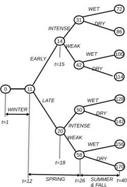 Figure 4.12 Branching structure at the first year.