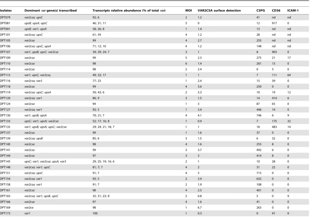 Table 2. Var genes transcription profile and adhesion phenotype of 54 isolates collected from pregnant women in Cotonou, Benin.