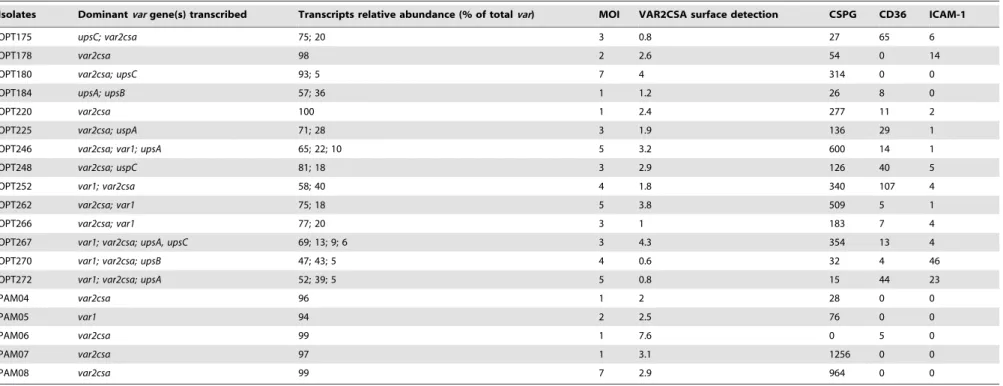 Table 2. Cont.