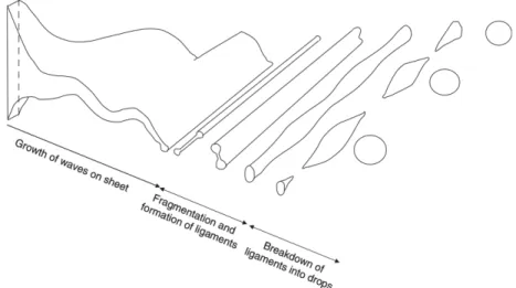 Figure 2.1 Atomization process: formation of ligaments and droplets (adapted from N. Dom- Dom-bowsky and W
