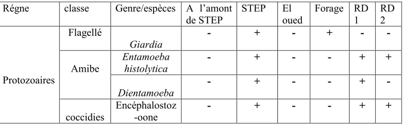 Tableau 4 : tableau comparatif et de similitude des protozoaires dans les six compartiments du  prélèvement