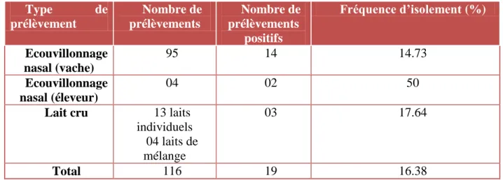 Tableau VII : Fréquence d’isolement de S. aureus selon le type de prélèvement 