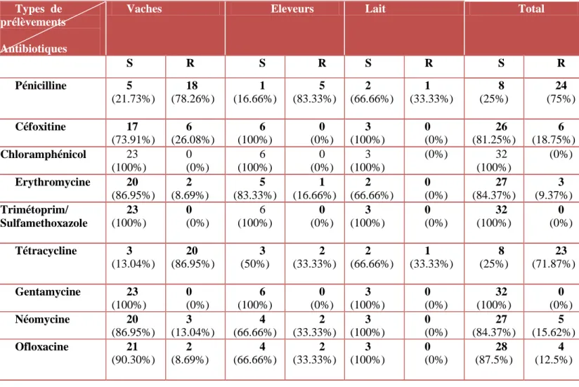 Figure 07 : Souche de S. aureus sensible à la méticilline (SASM multi-résistant) 